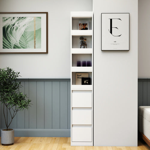 Display Storage Cabinet
